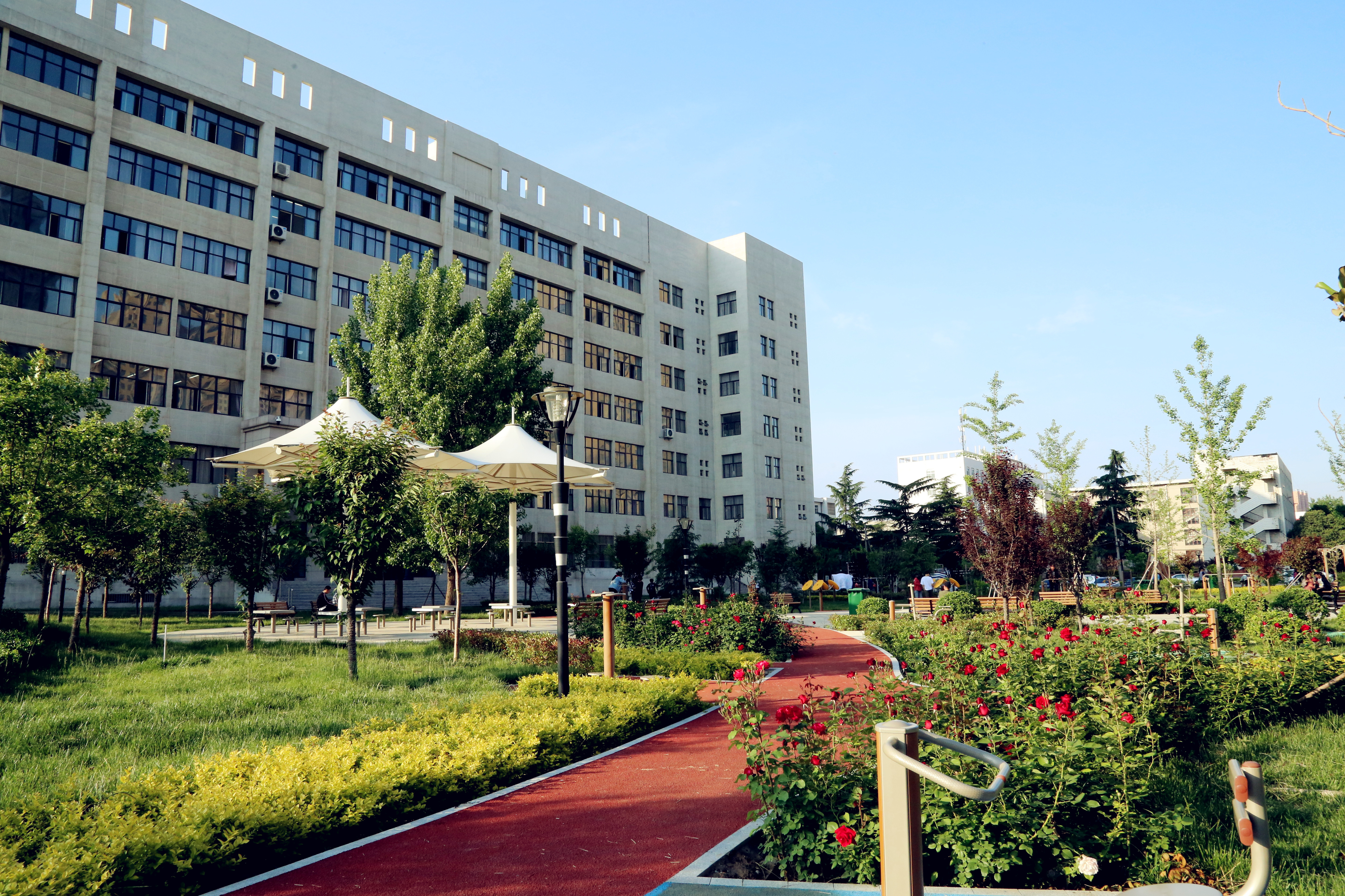 优美的校园环境